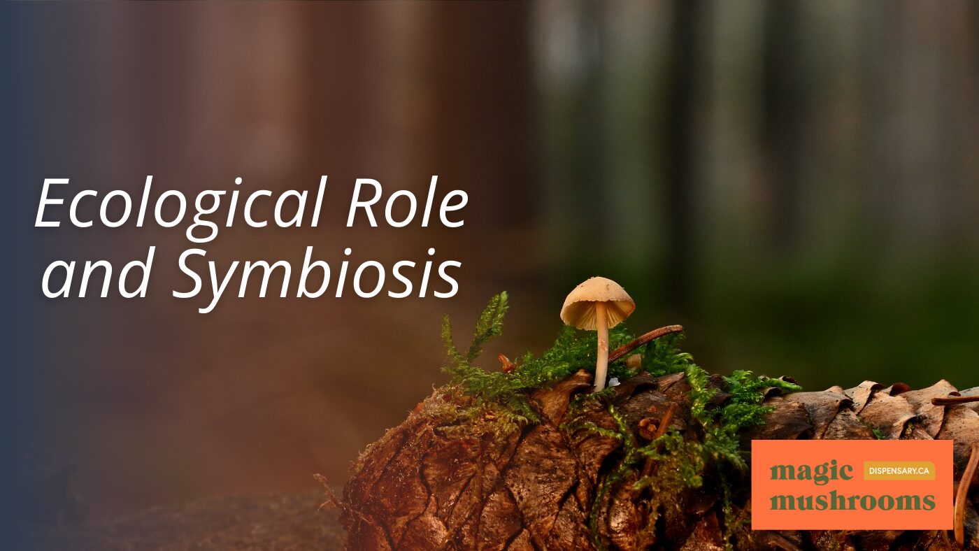 Ecological Role and Symbiosis