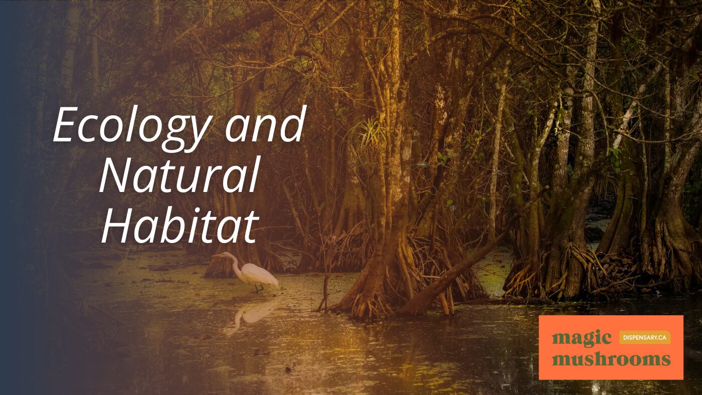 Ecology and Natural Habitat
