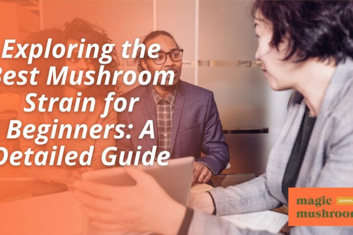 Exploring the Best Mushroom Strain for Beginners A Detailed Guide