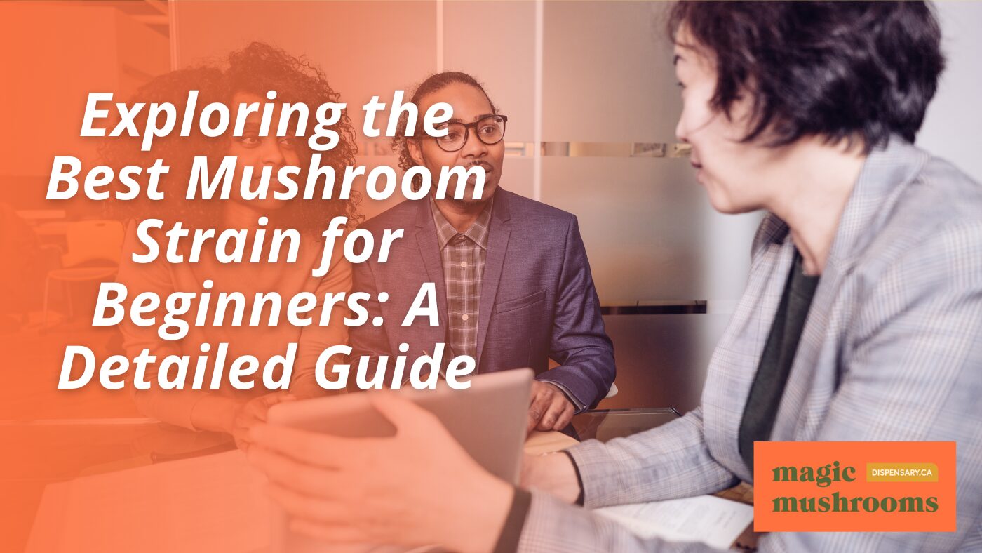 Exploring the Best Mushroom Strain for Beginners A Detailed Guide