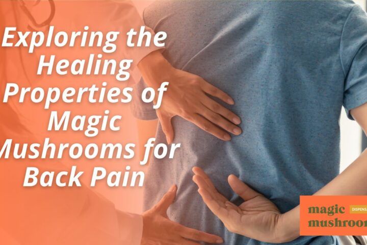 Exploring the Healing Properties of Magic Mushrooms for Back Pain