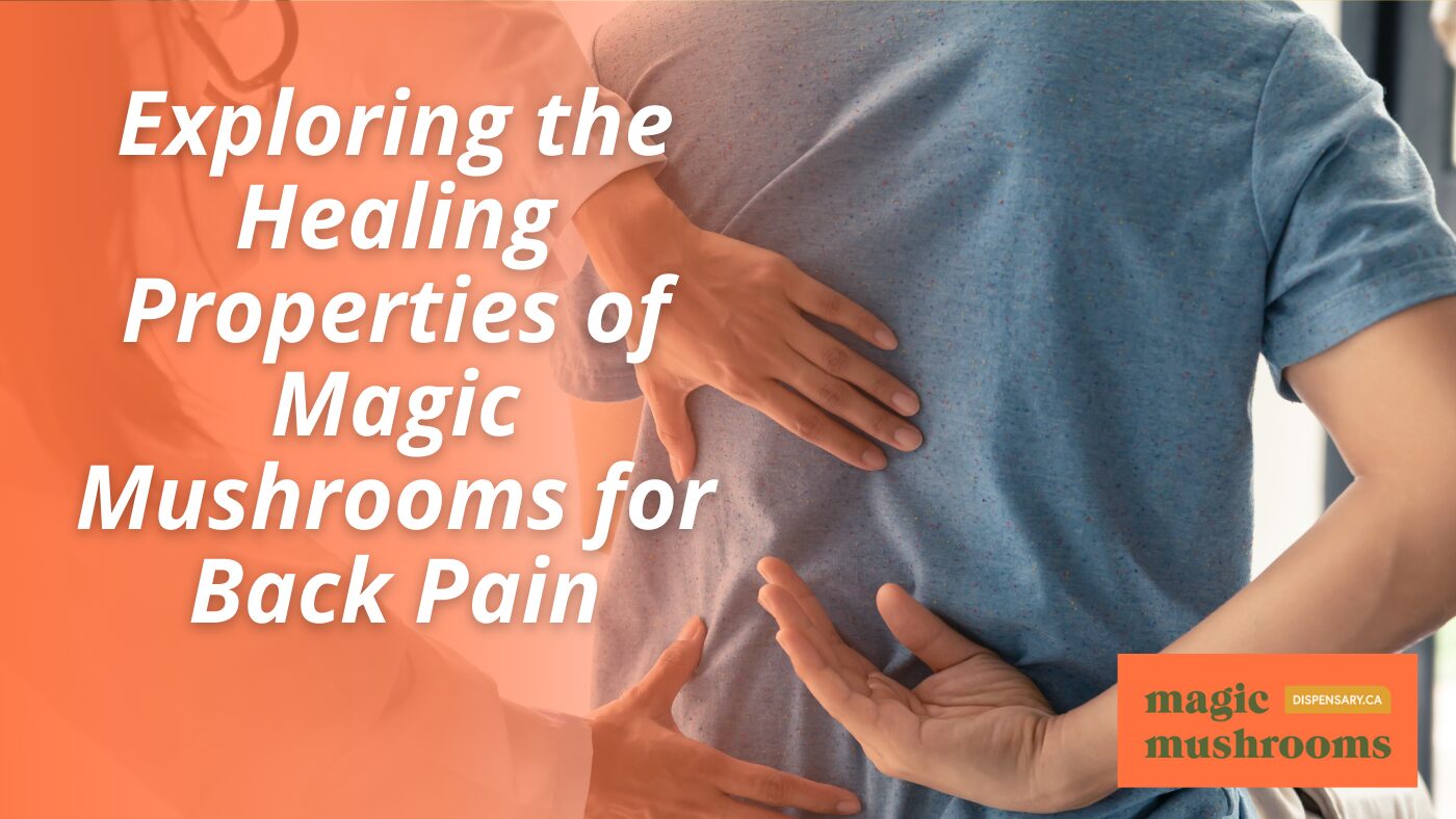 Exploring the Healing Properties of Magic Mushrooms for Back Pain