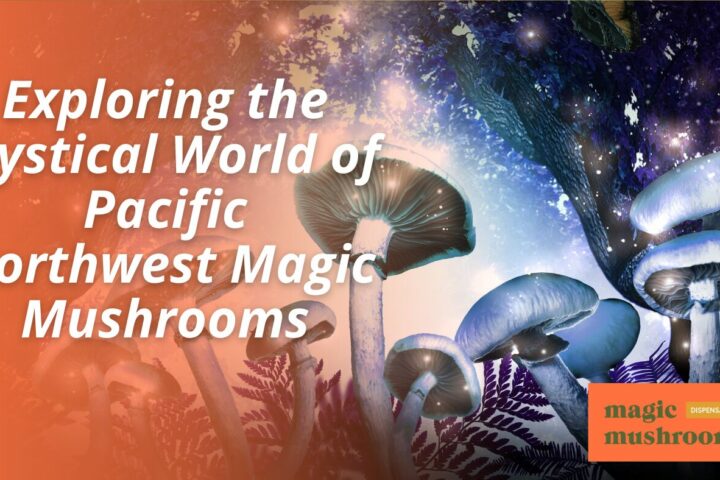 Exploring the Mystical World of Pacific Northwest Magic Mushrooms