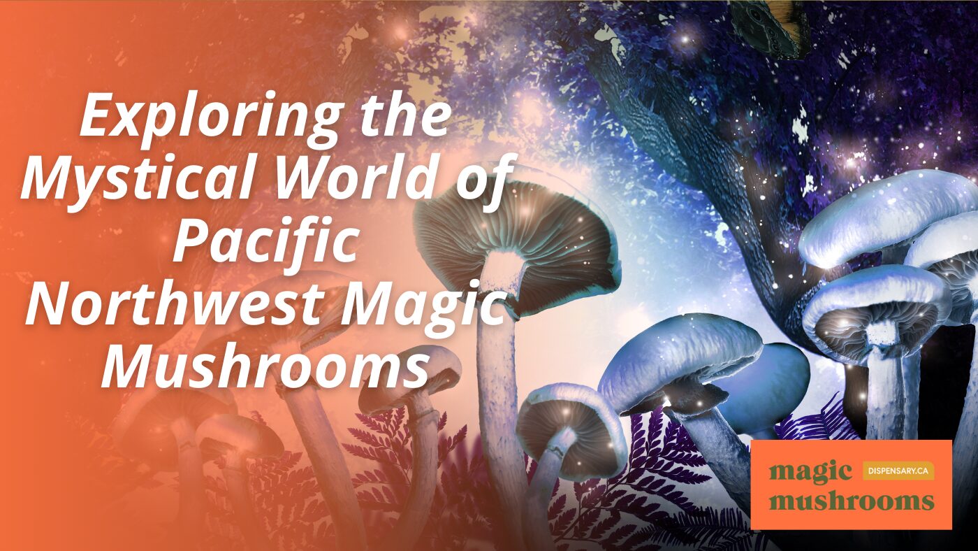 Exploring the Mystical World of Pacific Northwest Magic Mushrooms