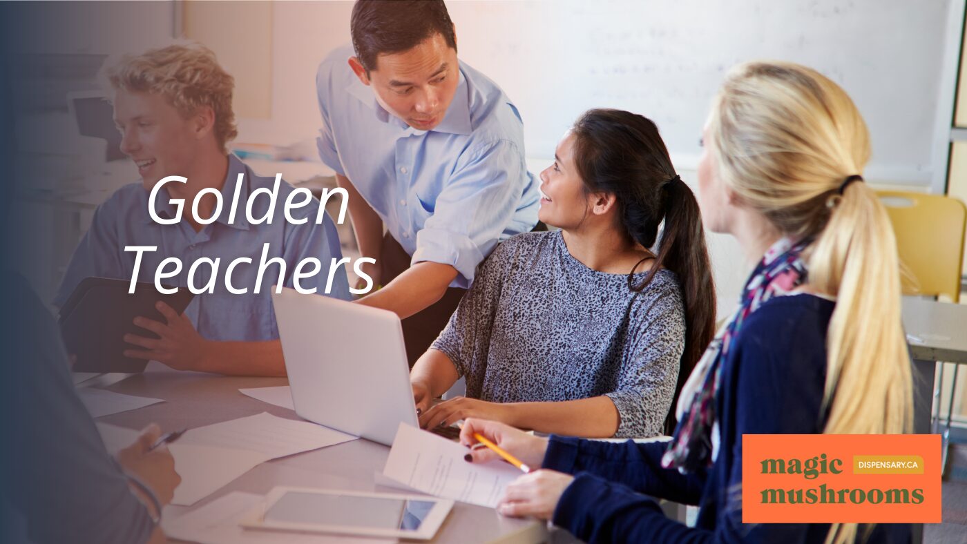 Golden Teachers