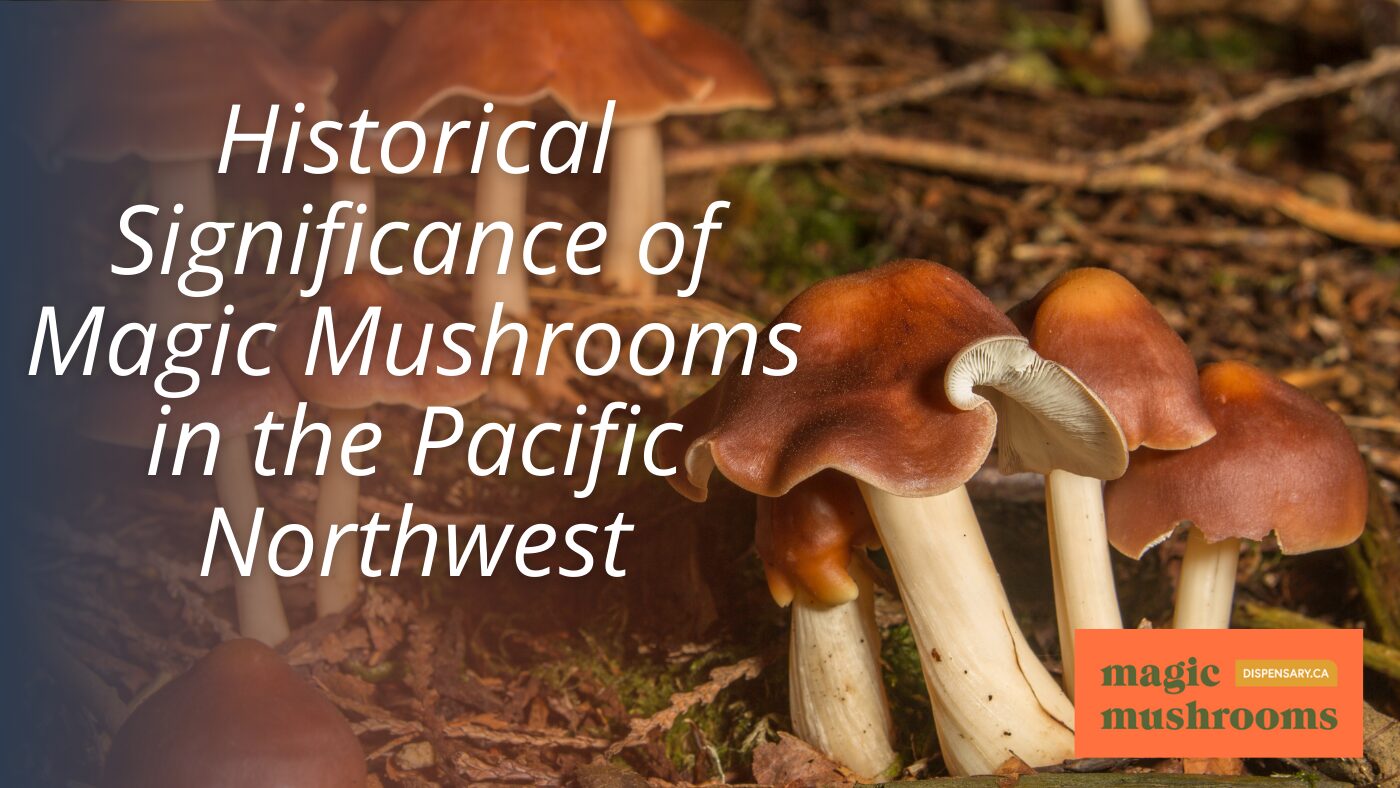 Historical Significance of Magic Mushrooms in the Pacific Northwest