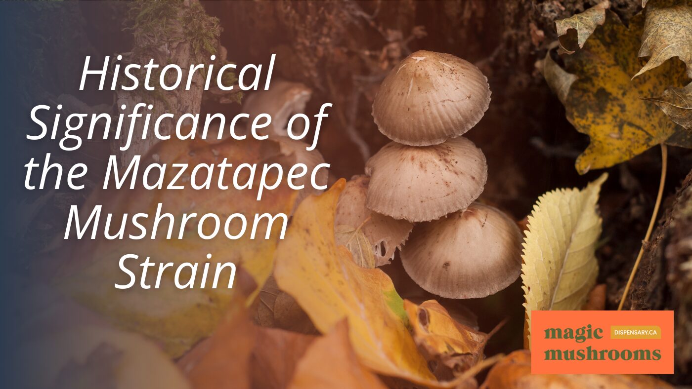 Historical Significance of the Mazatapec Mushroom Strain