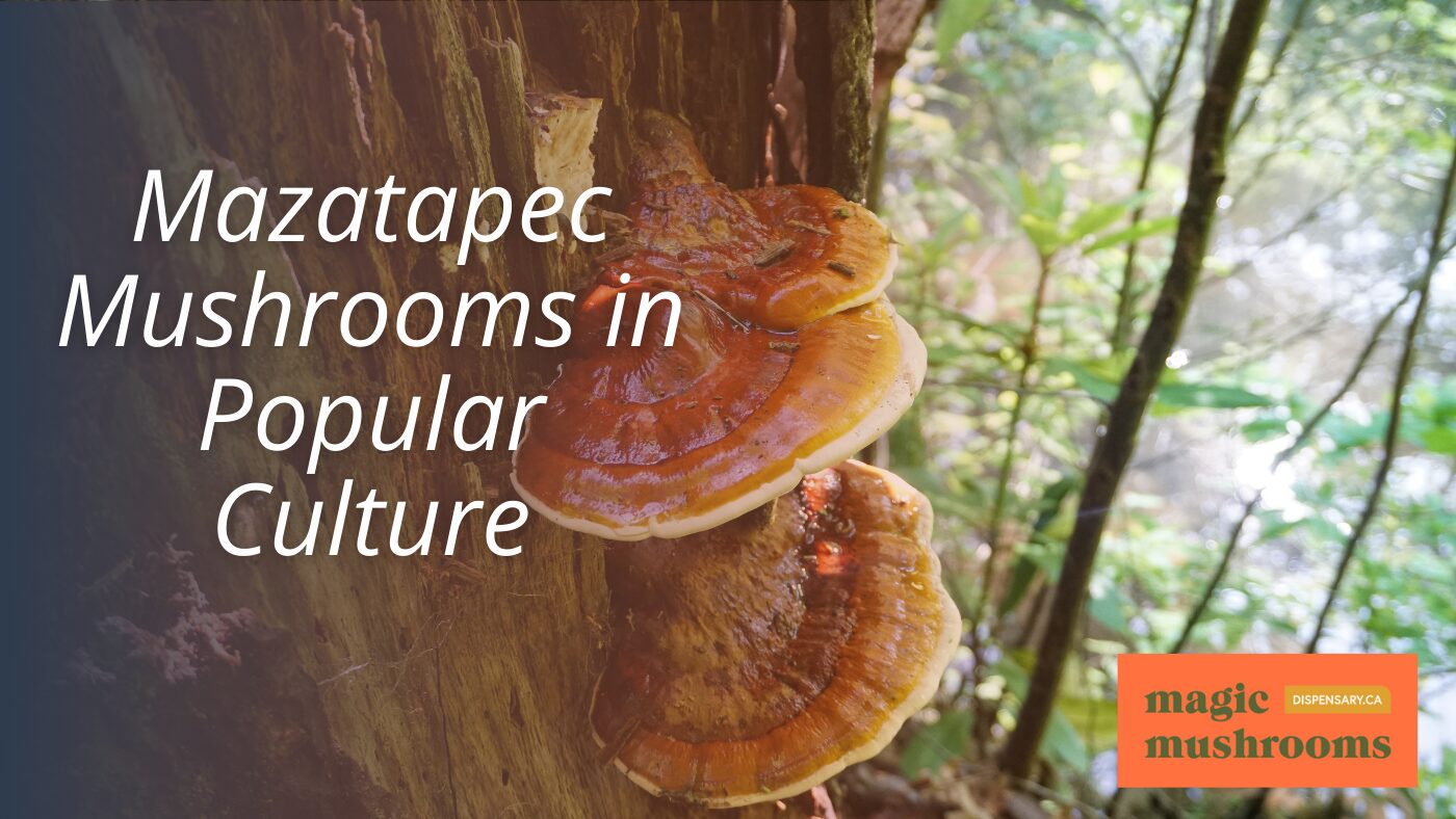 Mazatapec Mushrooms in Popular Culture