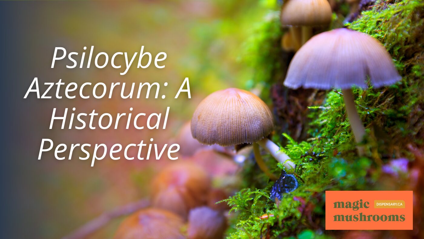 Psilocybe Aztecorum A Historical Perspective