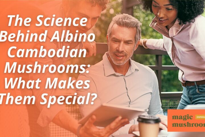 The Science Behind Albino Cambodian Mushrooms What Makes Them Special