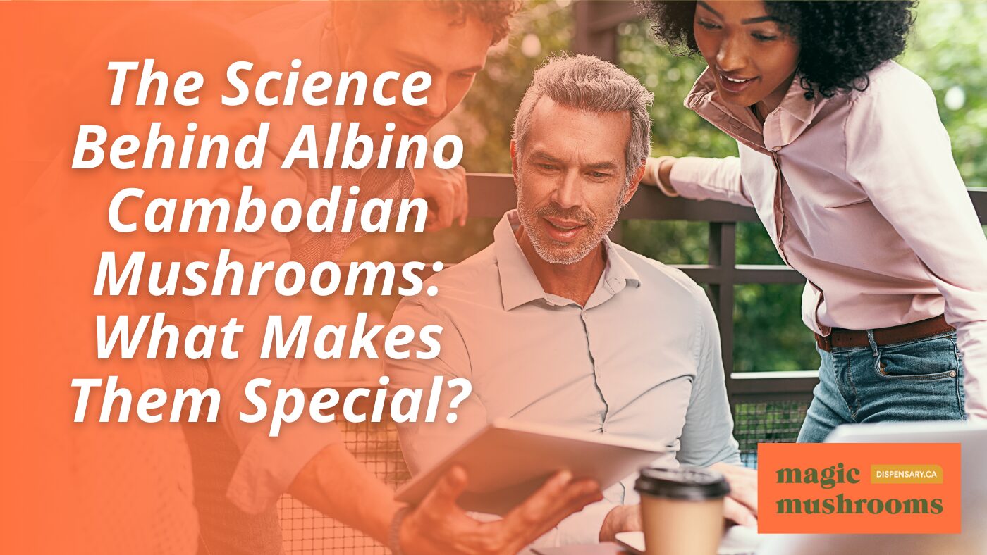 The Science Behind Albino Cambodian Mushrooms What Makes Them Special