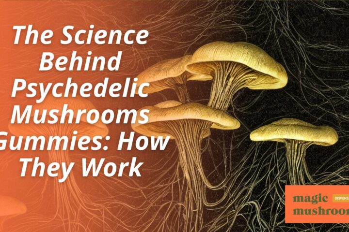 The Science Behind Psychedelic Mushrooms Gummies How They Work