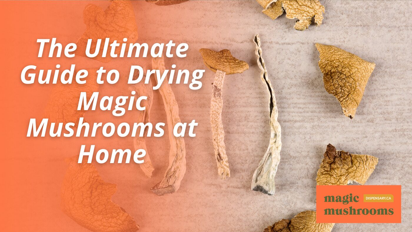 The Ultimate Guide to Drying Magic Mushrooms at Home