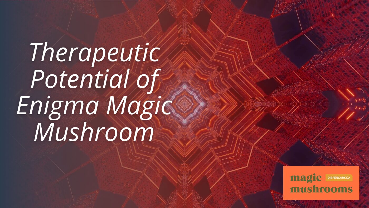 Therapeutic Potential of Enigma Magic Mushroom