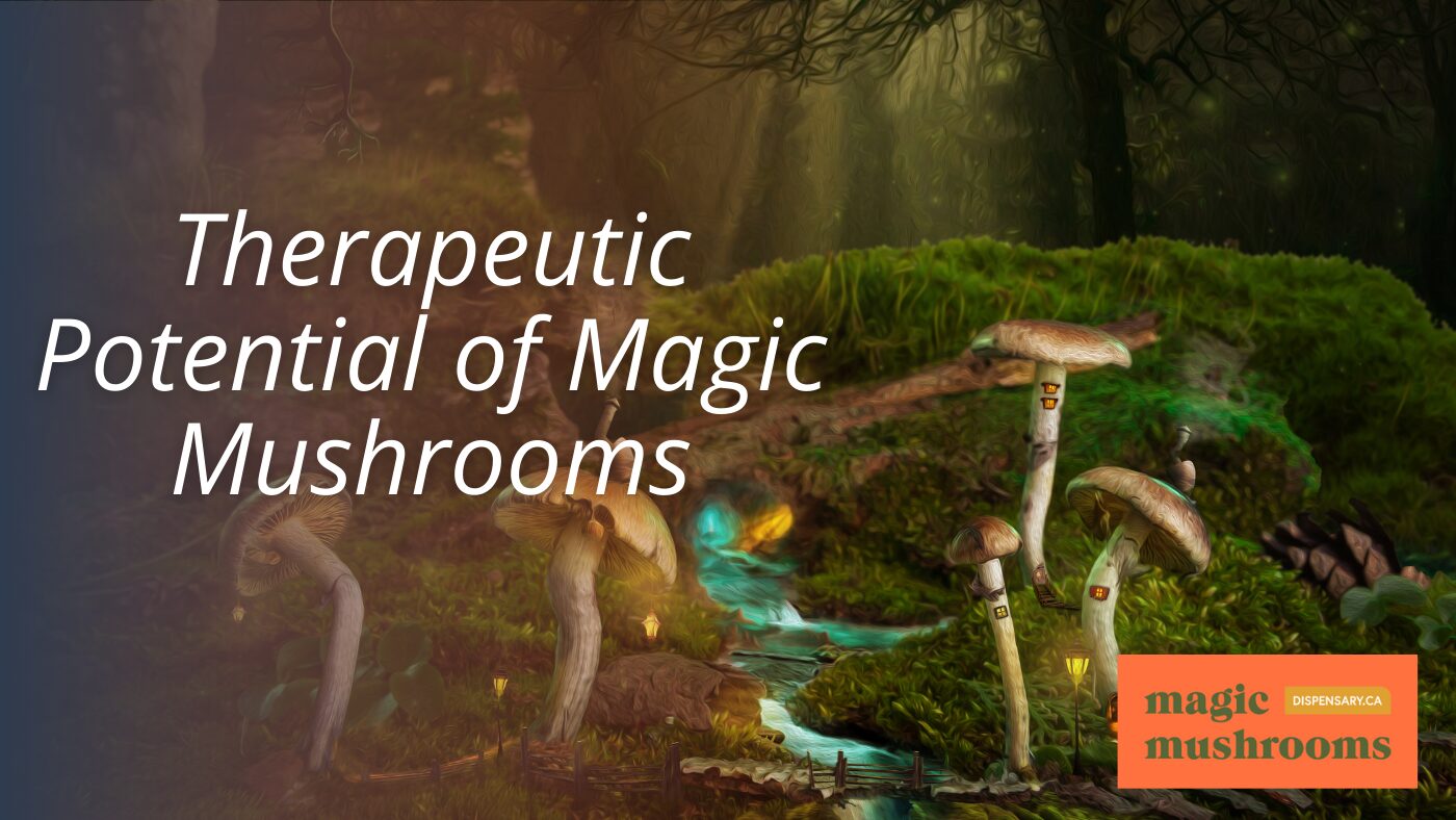 Therapeutic Potential of Magic Mushrooms