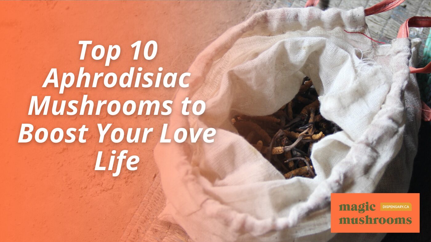 Top 10 Aphrodisiac Mushrooms to Boost Your Love Life