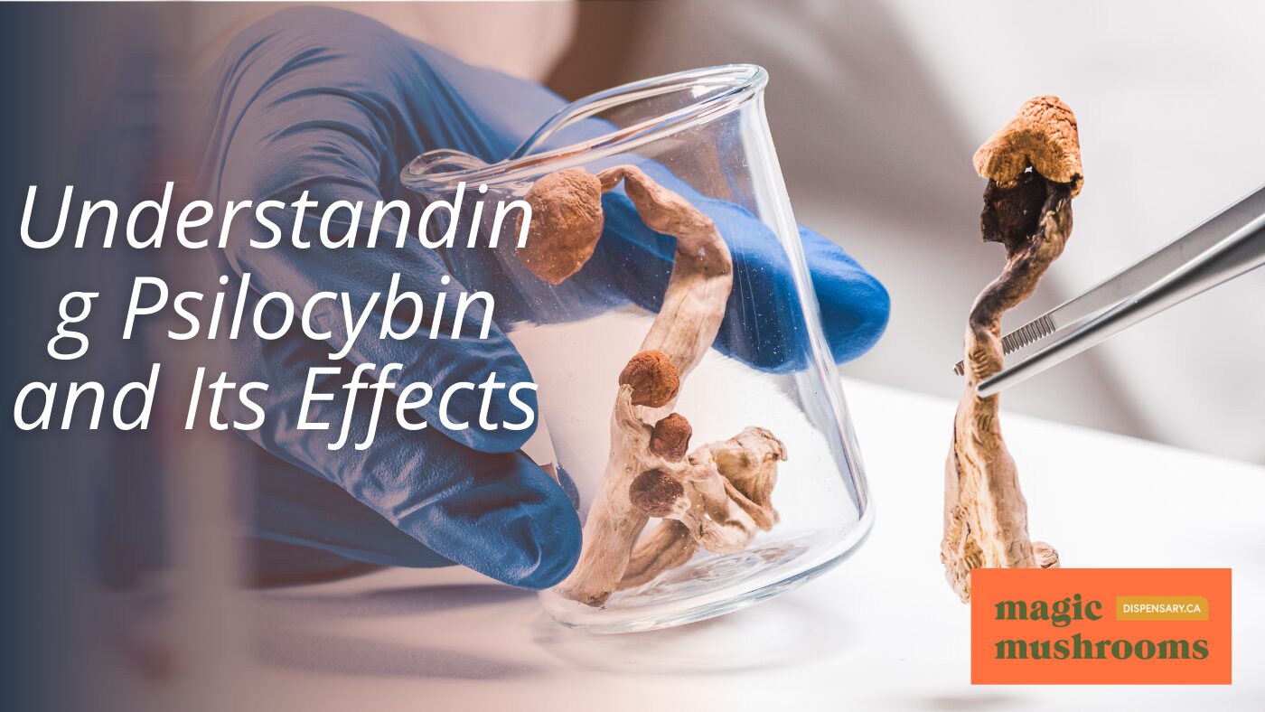 Understanding Psilocybin and Its Effects