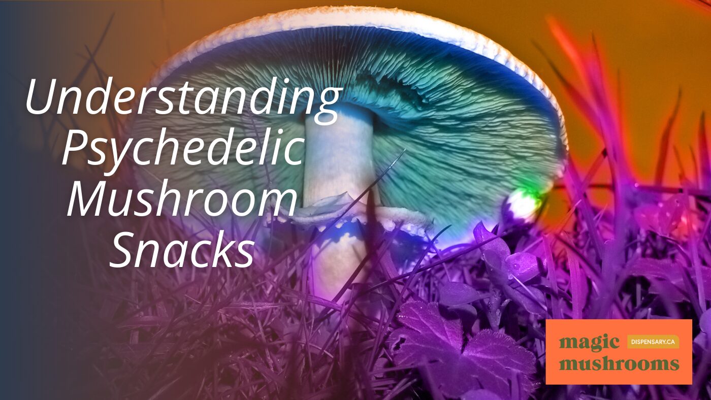 Understanding Psychedelic Mushroom Snacks