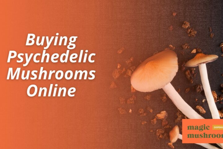 Buying Psychedelic Mushrooms Online