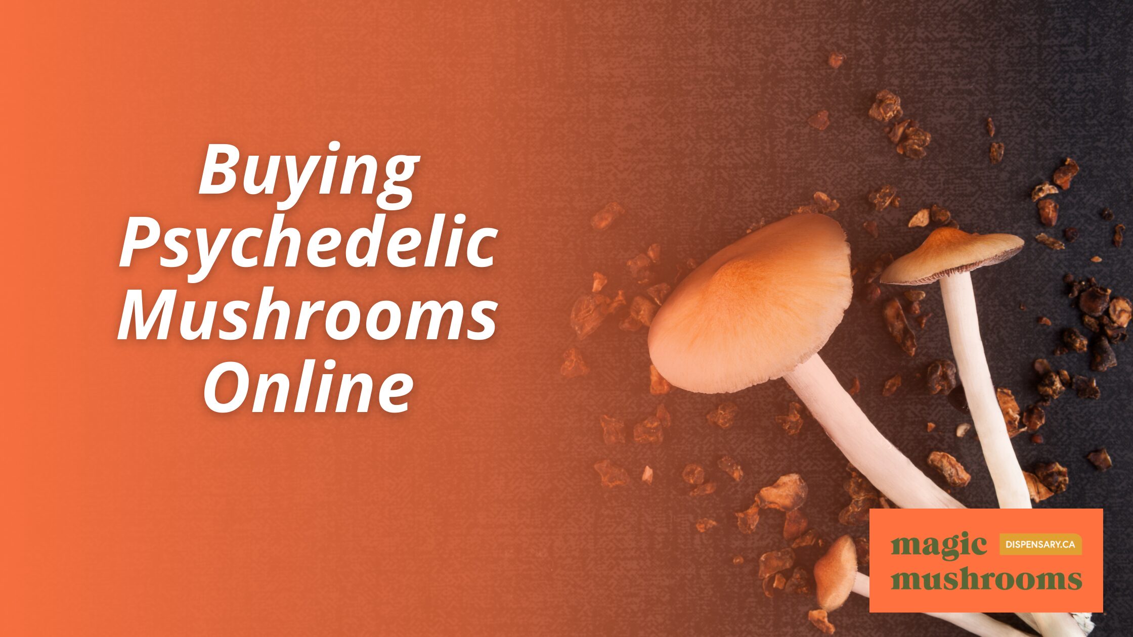 Buying Psychedelic Mushrooms Online