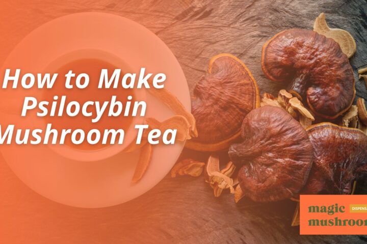 How to Make Psilocybin Mushroom Tea