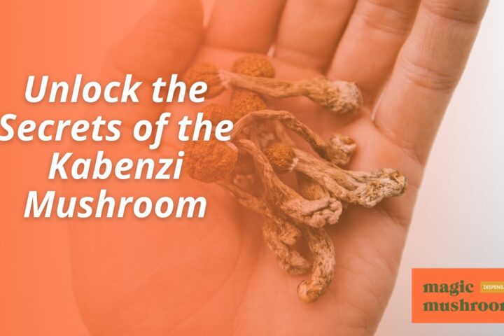 Kabenzi Mushroom