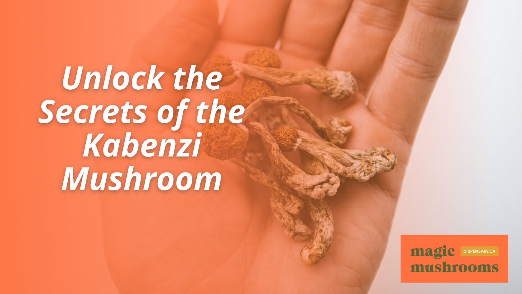 Kabenzi Mushroom