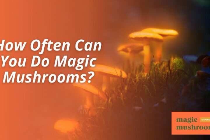 How Often Can You Do Magic Mushrooms