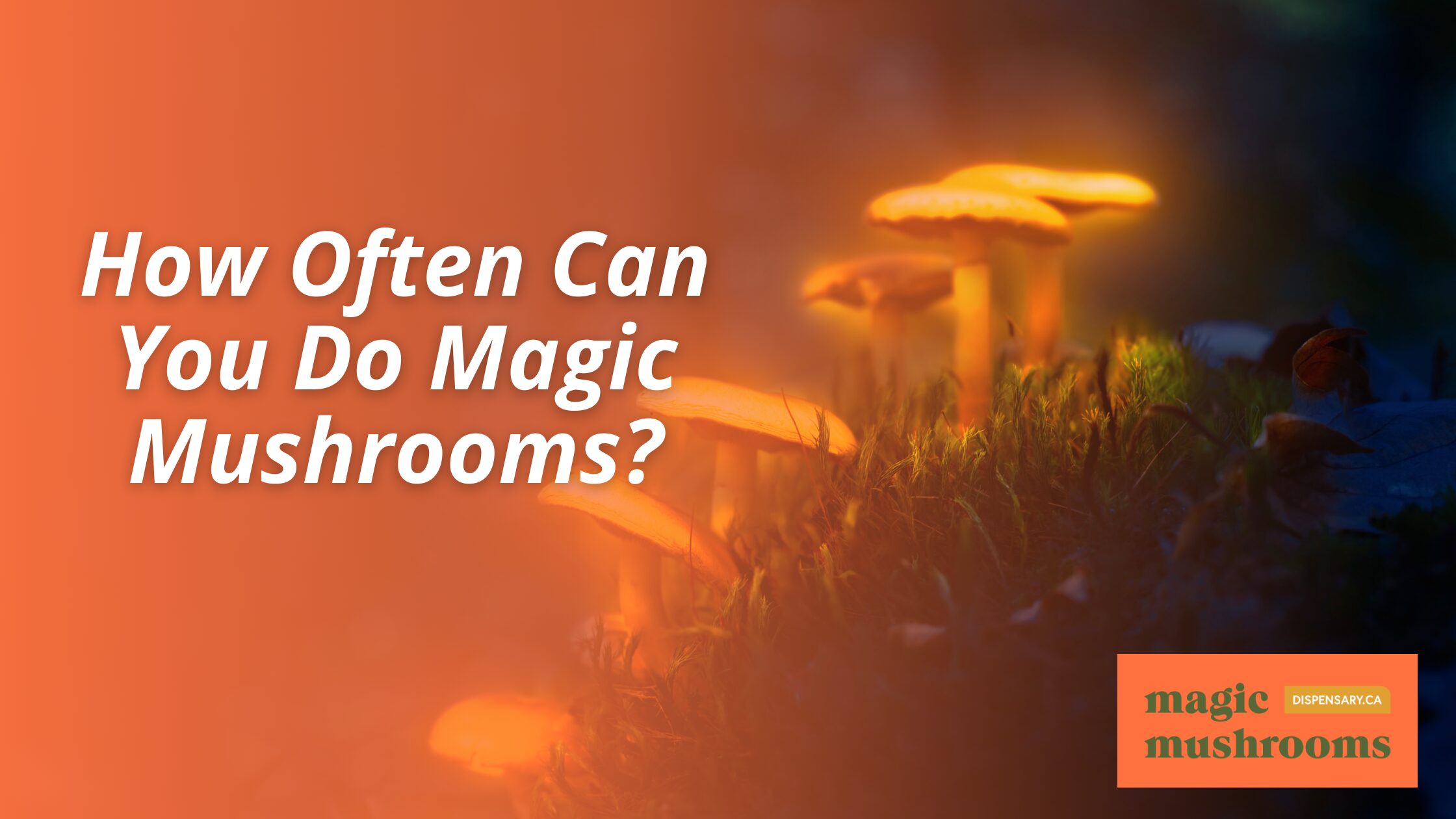 How Often Can You Do Magic Mushrooms