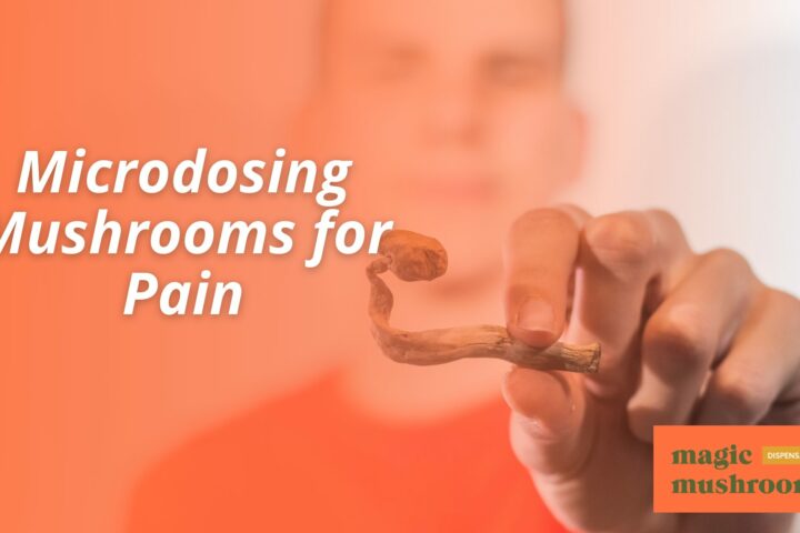 Microdosing Mushrooms for Pain