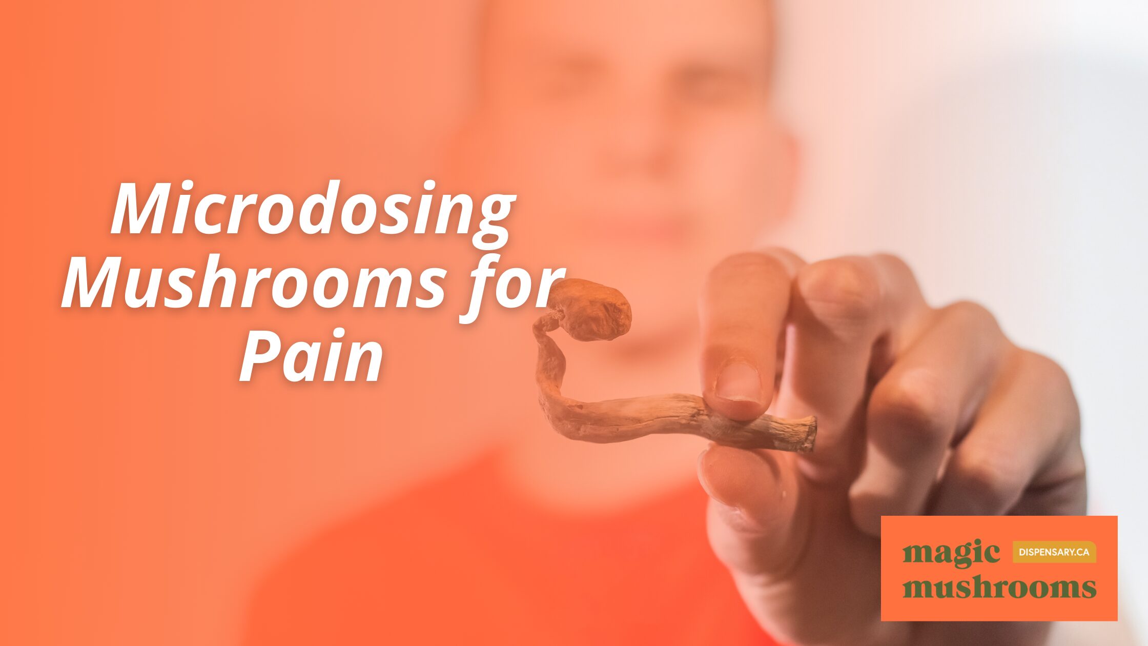 Microdosing Mushrooms for Pain